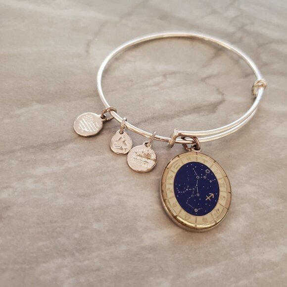 ✨ Alex and Ani Sagittarius November December Expandable Charm Bracelet Bangle - Picture 2 of 7